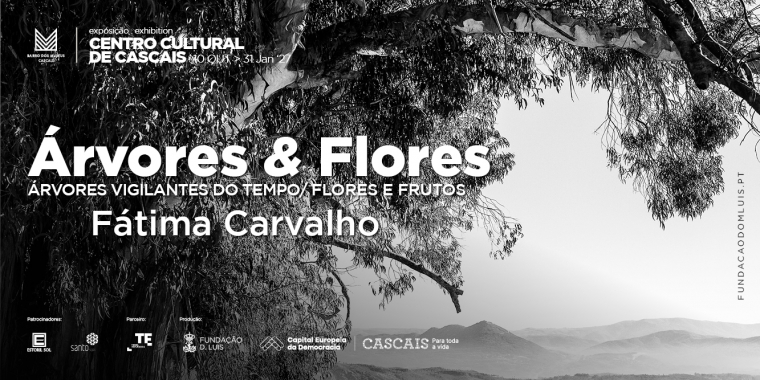 Trees and Flowers, by Fátima Carvalho